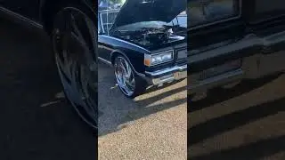 Show N Go
