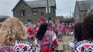Lotus Flower & Shark - Barmouth anglophones
