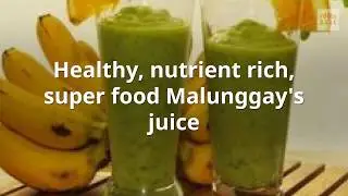 Malunggay's Juice - Healthy, Nutrient rich super food recipe