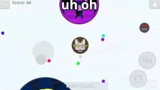 NEW VANISH POPSPLIT?!!!