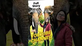 jungle Adventure and Story (image to video) #love #song #lifeisbutadream #avexpictures