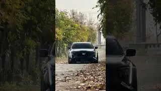 black 🖤 favorite color 💞#dream #cars #lexus