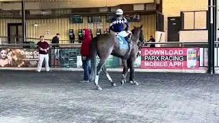 Gamestonks & jockey Abner Adorno won with a stalking trip in Wednesday&rsquo;s 2nd race at Parx Racing