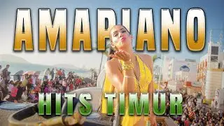 AMAPIANO INDONESIA MIX TIMUR VOL 1 By FRYSL Music - Tor Monitor Ketua, Tabola Bale, Ngapain Repot