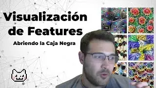 Visualización de las Features | Clase 15 - Parte 1 | Curso de Deep Learning Edición 2022