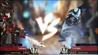 Seven Knights Gameplay Arena 01