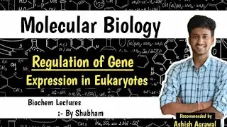 Regulation Of Gene Expression (Eukaryotes) || Molecular Biology || Biochemistry Lecture