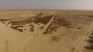 Our almonds in the desert