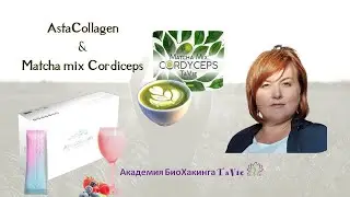 AstaCollagen & Matcha mix Cordiceps. Перспективные разработки продуктовой линейки TaVie