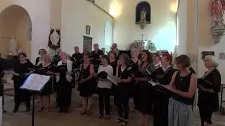 Txoria Txori - Hegoak