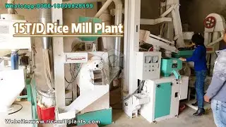 15T/D Rice Mill Machine Export to Africa | Trusted Supplier Co-Grain #ricemillsupplier