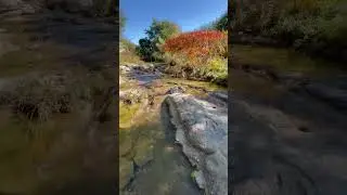 Austin Nature and Science Center in Austin Texas #shorts #nature #naturelovers