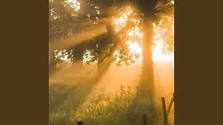 light of dawn