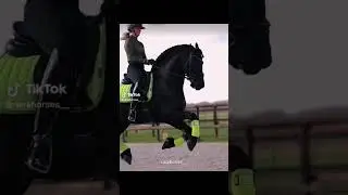 frison ❤️✨