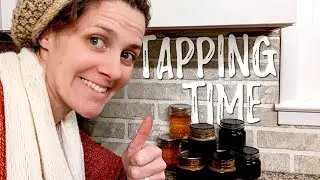 Maple Syrup Season: Is it too early to tap the maple trees?