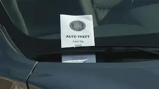 Common Council to Buffalo Police: stop ticketing stolen car victims 'now'
