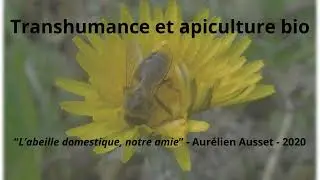 Transhumance des ruches et apiculture bio