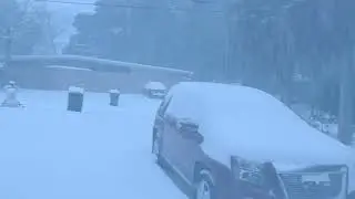 2025 Pensacola Blizzard - featuring Lydia...wait for it!