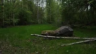 Finlandiakivi L&auml;nsimets&auml;ss&auml; / Finlandiastenen i Vestskoven 03.maj 2025 kl.6