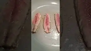 Fresh Mackerel catch and cook #mackerel #fishing #cookingfish #pierfishing #catchandcook