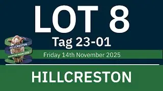 LOT 8