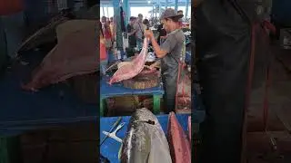Fish cutting skills #tuna #shorts