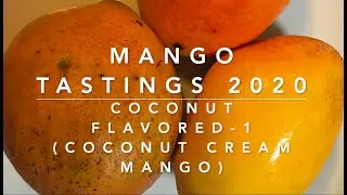 Mango Tastings 2020 - Coconut Flavored -1, Coconut Cream Mango
