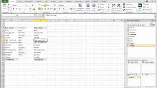 Synchro Training- Advanced Manpower Reporting Excel Enabled