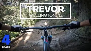 CHUNKY ROOTS - Trevor Mountain Bike Trail (Grade 4 - Advanced) | Mt Victoria, Wellington