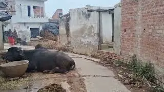 New ब्लॉग video wet for and
