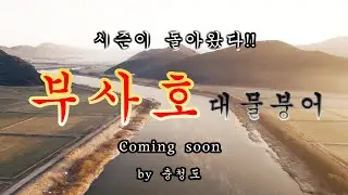 부사호 시즌이 돌아왔다 / 대불붕어들의 움직임포착 / 알자리보는 붕어들 / 시즌임박!!   #부사호 #붕어낚시 #노지낚시 #대물붕어 #민물낚시 #월척붕어 #전투낚시 #fishing