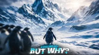 He Never Looked Back | Penguin Story Edit | Official 6 Sahil