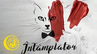 The Motans - M-ai omorat intamplator