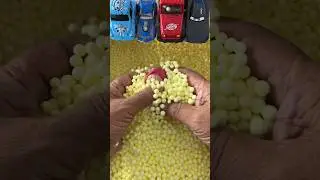 Digging grains to find Adorable Masha cute & funny toys #toys #trending #top #masha #funny #cute