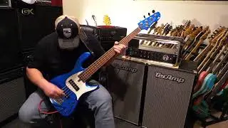 Lorita Andy Irvine Signature - Fantone 5 & 1990 SWR SM900