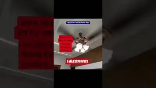 #wowmonk #noidaextension #lowrisefloors #viralvideo #viralreels #noidacity