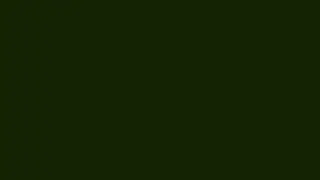 Deep olive green pure color on screen 10 seconds FULL HD - ALL colors on screen part 143