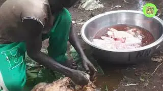 Easy steps to Clean your Tripe Meat / Shaki