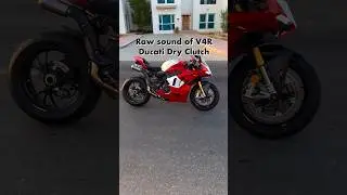 Raw sound 🎧 of Ducati Panigale V4 R Dry Clutch 🇮🇹