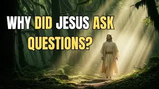 The Questions of Jesus Reveal More Than Answers
