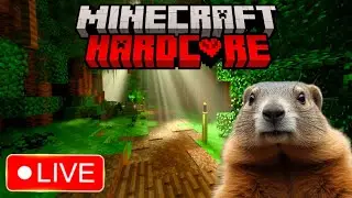 🔴 LIVE 🔴   HARDCORE  MINECRAFT    DAY  830+