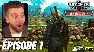THE WITCHER 3 BLOOD & WINE NEXT GEN LET'S PLAY FR #1 : UN NOUVEAU MONDE 🐺 (JEU COMPLET)