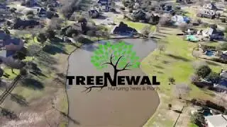 TreeNewal Pruning Trees Over Water