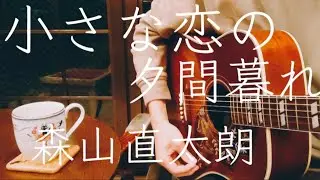 【ギター弾き語り】小さな恋の夕間暮れ／森山直太朗 (Cover)