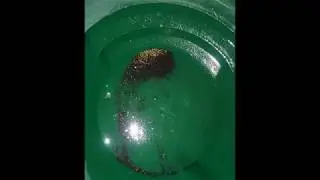 Mining in Gold Canyon Nevada, Part II