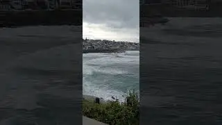 Bomb Cyclone