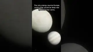 Does Europa have life?