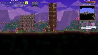 terraria: Stars of calamity week 1(Feat @GateGamin )