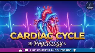 PHYSIOLOGY OF CARDIAC CYCLE | PHYSIOLOGY | Microscopic Marvels