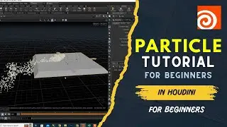 How to Create Particles in Houdini | POP Source | Houdini for Beginners